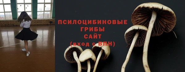 прущая мука Ельня