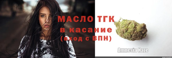 гашик Елизово