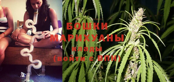прущая мука Ельня