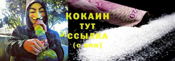 гашик Елизово