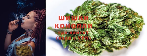 прущая мука Ельня